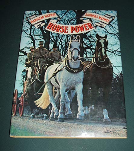 Beispielbild fr Horse power zum Verkauf von Half Price Books Inc.