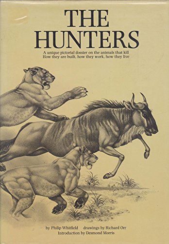 Stock image for Hunters, The for sale by AwesomeBooks