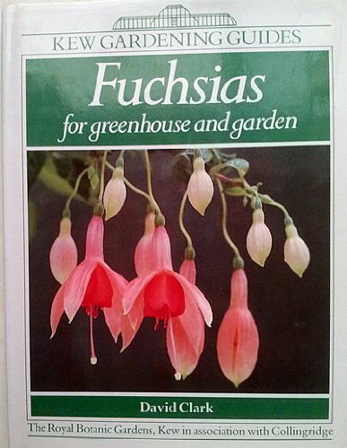 Beispielbild fr Fuchsias for Greenhouse and Garden Fuchsias for Greenhouse and Garden: A Kew Gardening Guide (Kew Gardening Guides): A Complete Guide to Growing Fuchsias zum Verkauf von WorldofBooks