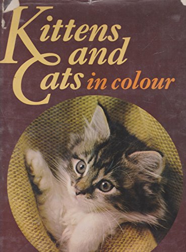 Imagen de archivo de KITTENS and CATS IN COLOUR a la venta por WONDERFUL BOOKS BY MAIL