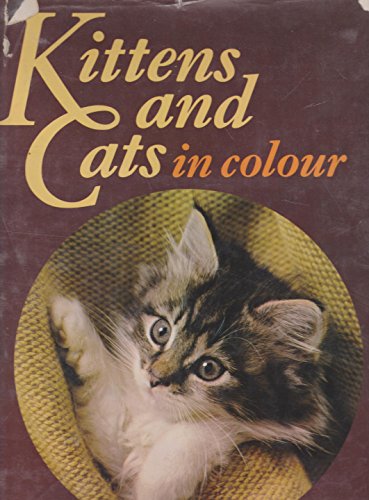 Stock image for Kittens and Cats in Color for sale by Top Notch Books