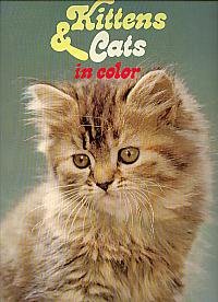 Stock image for Kittens and Cats in Colour for sale by Wonder Book
