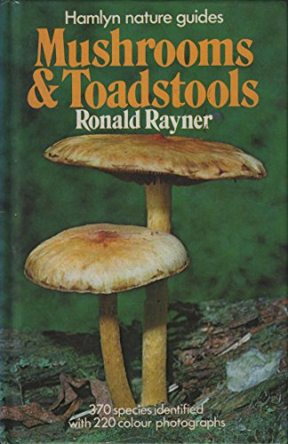 Stock image for Mushrooms and Toadstools (Hamlyn nature guides) for sale by AwesomeBooks