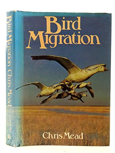 Bird Migration