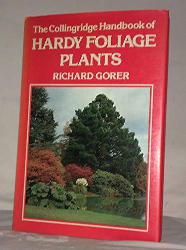Beispielbild fr Hardy Foliage Plants zum Verkauf von AwesomeBooks