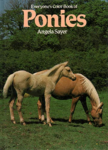 Imagen de archivo de Everyone's Book of Ponies a la venta por AwesomeBooks