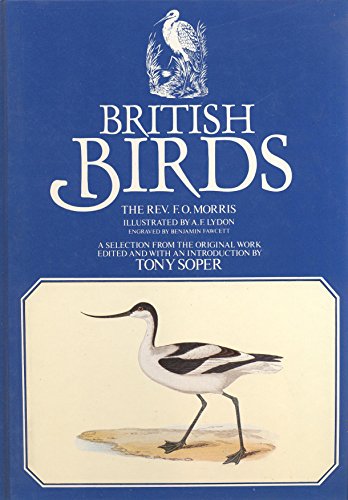 Stock image for British Birds Sp/Bks for sale by AwesomeBooks