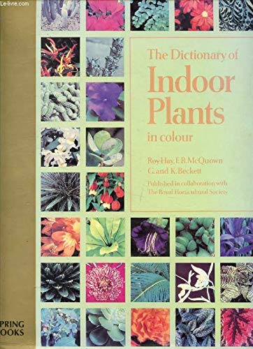 Beispielbild fr Dict Indoor Plants In Co zum Verkauf von Reuseabook