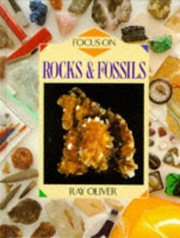 Imagen de archivo de Focus on Rocks & Fossils a la venta por janet smith