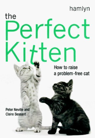 Beispielbild fr The Perfect Kitten: How to Raise a Problem-Free Cat zum Verkauf von Reuseabook