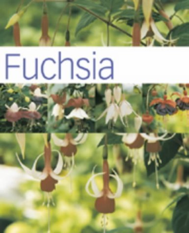 Stock image for Fuchsia (Hamlyn Care Manual) for sale by WorldofBooks
