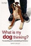 Imagen de archivo de What Is My Dog Thinking? a la venta por Better World Books