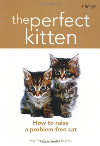 Beispielbild fr The Perfect Kitten: How to Raise a Problem-Free Cat zum Verkauf von WorldofBooks