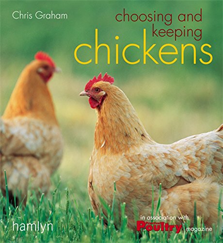 Beispielbild fr Choosing and Keeping Chickens zum Verkauf von WorldofBooks