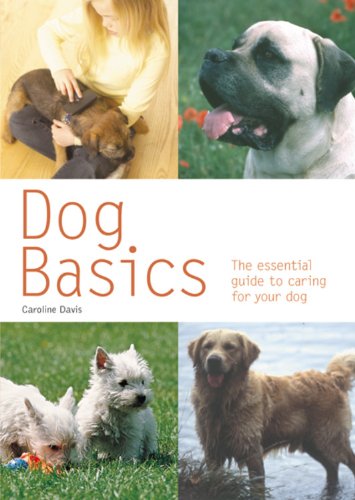 Imagen de archivo de Dog Basics: The Essential Guide to Caring for Your Dog a la venta por SecondSale