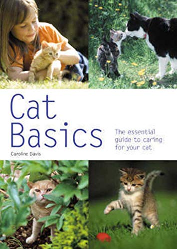 Stock image for Cat Basics: The Essential Guide to Caring for Your Cat (Pyramid Paperback) for sale by Wonder Book