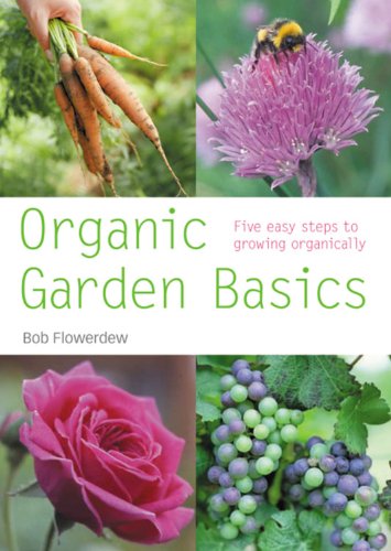 9780600615873: Organic Gardening Basics: Successful organic gardening in 5 easy steps