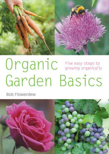 Imagen de archivo de Organic Garden Basics : Five Easy Steps to Growing Organically a la venta por Better World Books