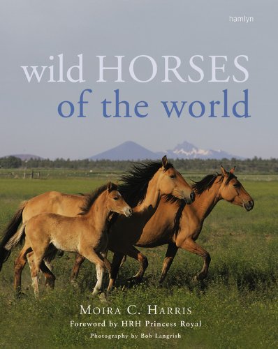 Imagen de archivo de Wild Horses of the World a la venta por Books of the Smoky Mountains
