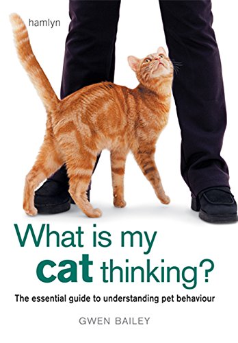 Imagen de archivo de What is my Cat Thinking?: The essential guide to understanding your pet a la venta por WorldofBooks