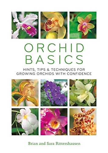 Beispielbild fr Orchid Basics: Hints, tips & techniques to growing orchids with confidence zum Verkauf von Books From California