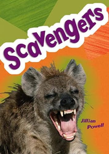 9780602242053: Pocket Facts Year 5: Scavengers (POCKET READERS NONFICTION)