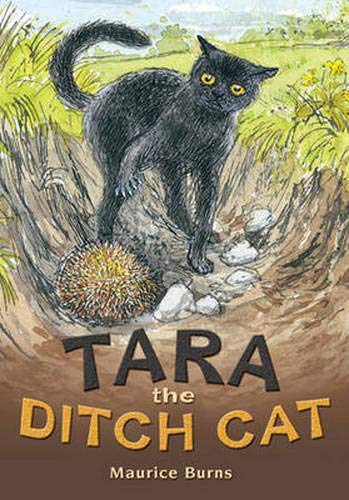 Beispielbild fr POCKET TALES YEAR 4 TARA THE DITCH CAT (POCKET READERS FICTION) zum Verkauf von WorldofBooks