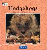 Stock image for Hedgehogs for sale by Better World Books Ltd
