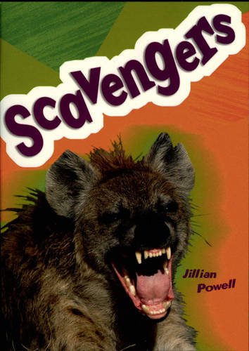 Scavengers (Pocket Reads) (9780602501013) by Powell, Jillian