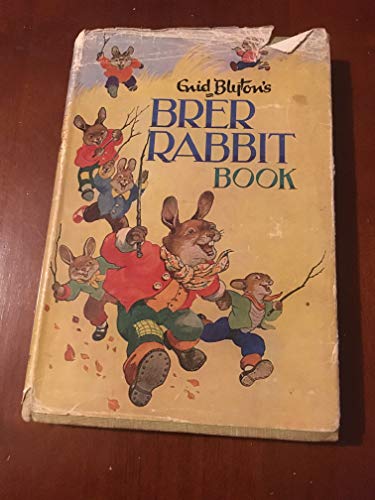 Beispielbild fr Brer Rabbit Book zum Verkauf von Wonder Book