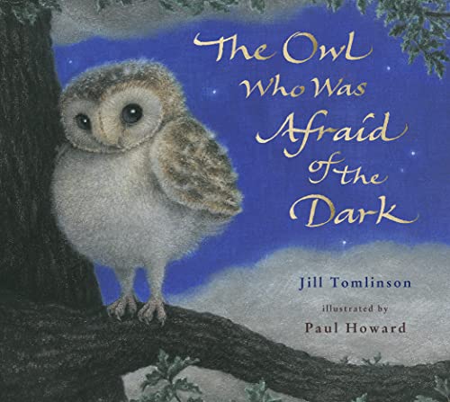 Beispielbild fr DEAN The Owl Who Was Afraid of the Dark zum Verkauf von WorldofBooks