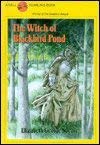 Imagen de archivo de Witch of Blackbird Pond a la venta por SecondSale