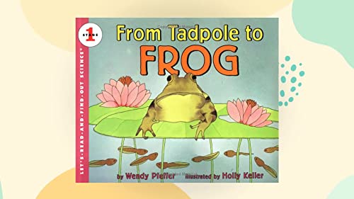 9780606063999: From Tadpole to Frog