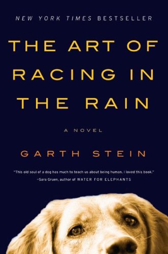 9780606065610: The Art of Racing in the Rain