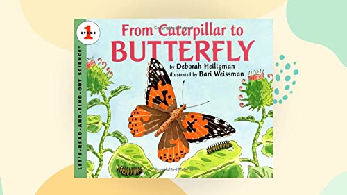 From Caterpillar to Butterfly (Let'S-Read-And-Find-Out Science) (9780606093095) by Heiligman, Deborah