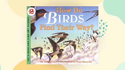 9780606094368: How Do Birds Find Their Way?