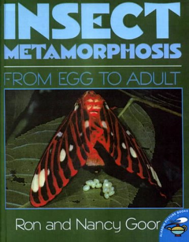 9780606155892: Insect Metamorphosis from Egg to Adult