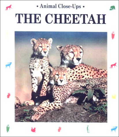 9780606180238: Cheetah