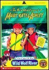 The Case of the Flapper 'Napper (The New Adventures of Mary-Kate & Ashley) (9780606219167) by Katschke, Judy