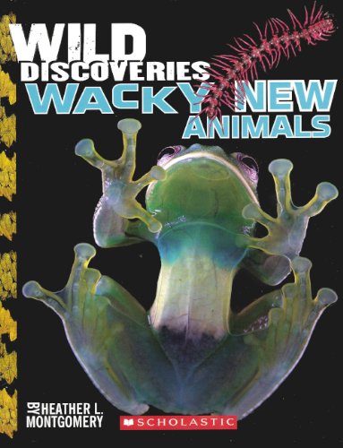 Stock image for Wild Discoveries : Wacky New Animals for sale by Better World Books