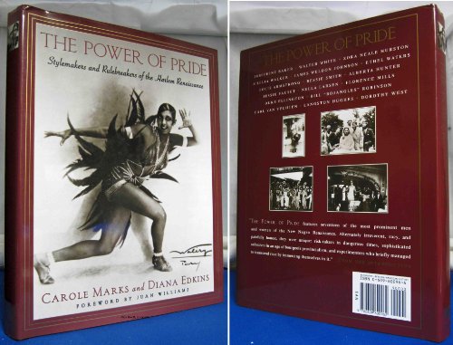 Imagen de archivo de The Power of Pride : Stylemakers and Rulebreakers of the Harlem Renaissance a la venta por Better World Books: West