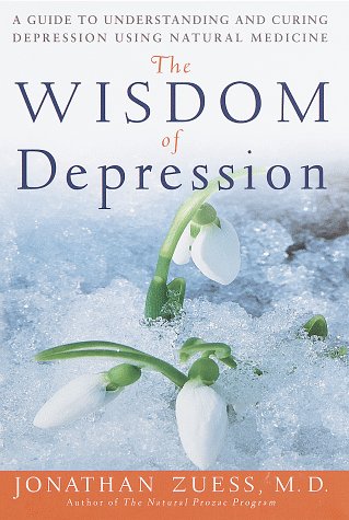Beispielbild fr The Wisdom of Depression : A Guide to Understanding and Curing Depression Using Natural Medicine zum Verkauf von Better World Books: West