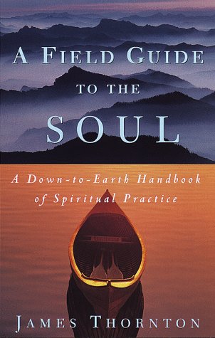 Stock image for A Field Guide to the Soul: A Down-to-Earth Handbook of Spiritual Practice for sale by Wonder Book