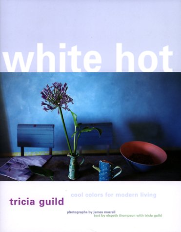 Beispielbild fr White Hot: Cool Colors For Modern Living zum Verkauf von James & Mary Laurie, Booksellers A.B.A.A