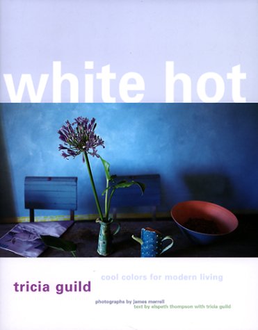 Imagen de archivo de White Hot: Cool Colors for Modern Living a la venta por Hennessey + Ingalls