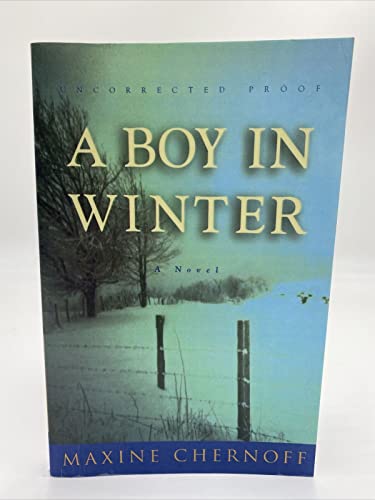 9780609605226: A Boy in Winter: A Novel