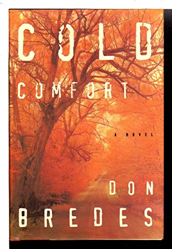 Cold comfort : a novel