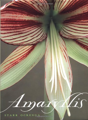 9780609608814: Amaryllis