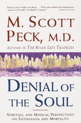 Stock image for Denial of the Soul: Spiritual and Medical Perspectives on Euthanasia and Mortality for sale by Wonder Book