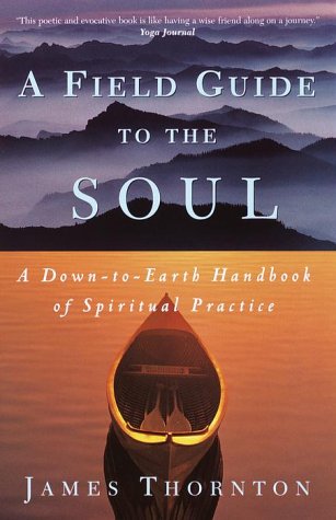 Stock image for A Field Guide to the Soul: A Down-To-Earth Handbook of Spiritual Practice for sale by ThriftBooks-Atlanta